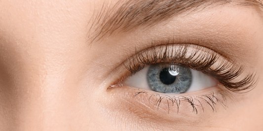 Our Brands - Beauty and Eye Health Coming Together